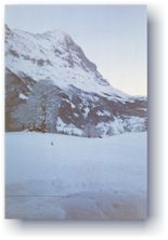Schreckhorn