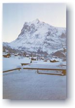 Wetterhorn